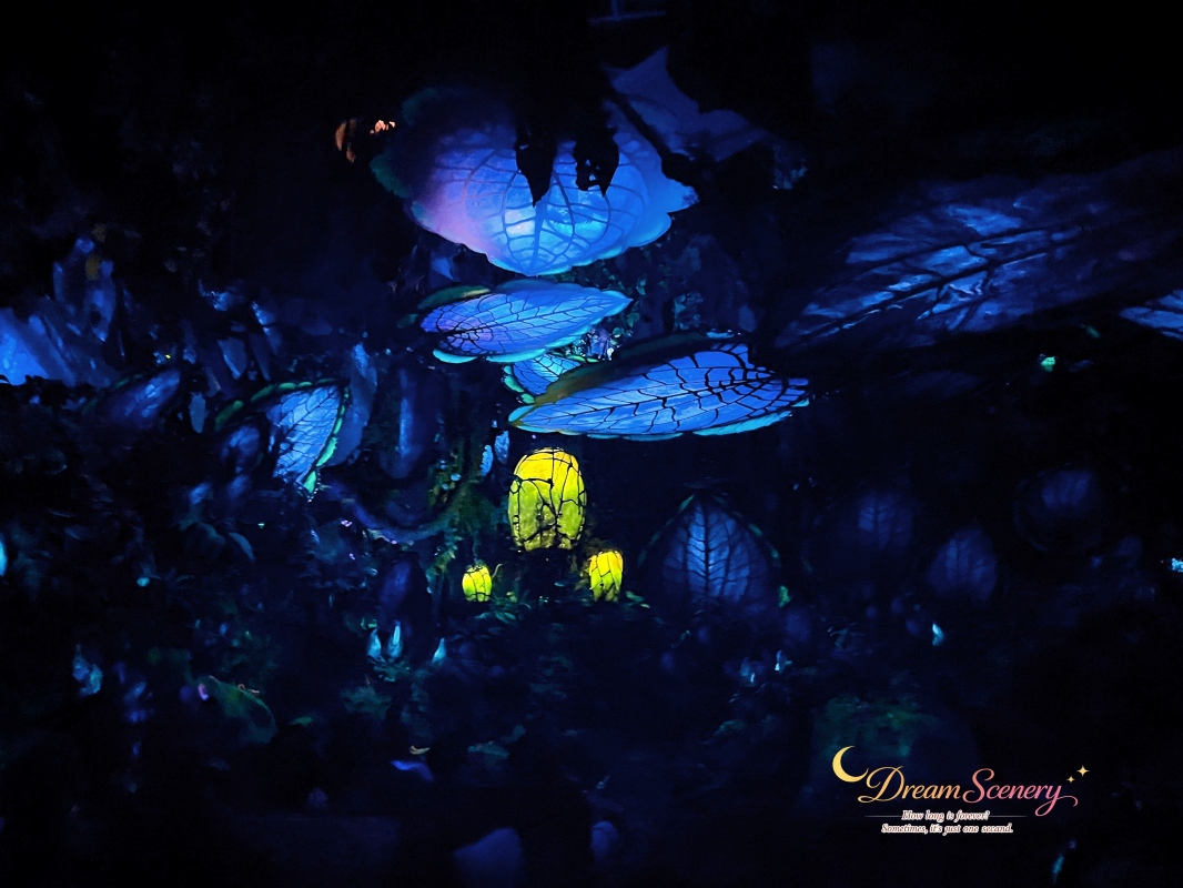 【美國 Florida】2024 Disney’s Animal Kingdom 攻略|一日路線+必玩設施 - 第25張圖 【美國 Florida】2024 Disney’s Animal Kingdom 攻略|一日路線+必玩設施