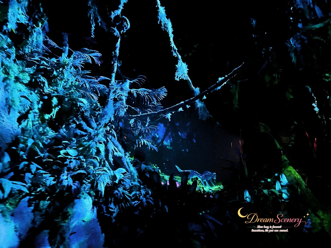 【美國 Florida】2024 Disney’s Animal Kingdom 攻略|一日路線+必玩設施 - 第26張圖 【美國 Florida】2024 Disney’s Animal Kingdom 攻略|一日路線+必玩設施