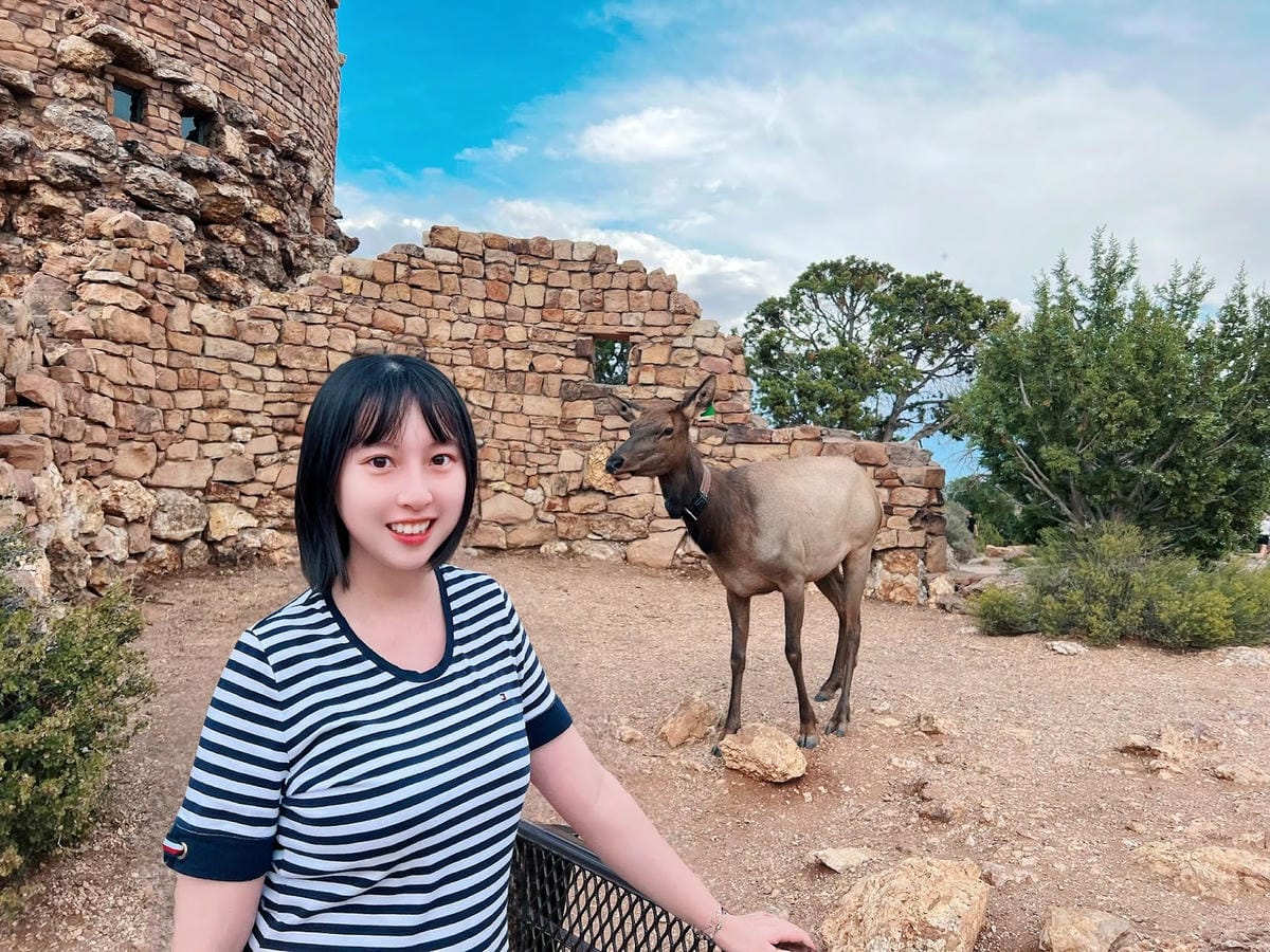 【美國-Arizona】 大峽谷國家公園(南緣) │Gran 【美國-Arizona】 大峽谷國家公園(南緣) │Gran