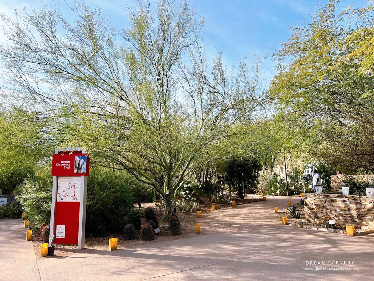 【美國-Arizona】亞利桑那州景點│沙漠植物園│Dese