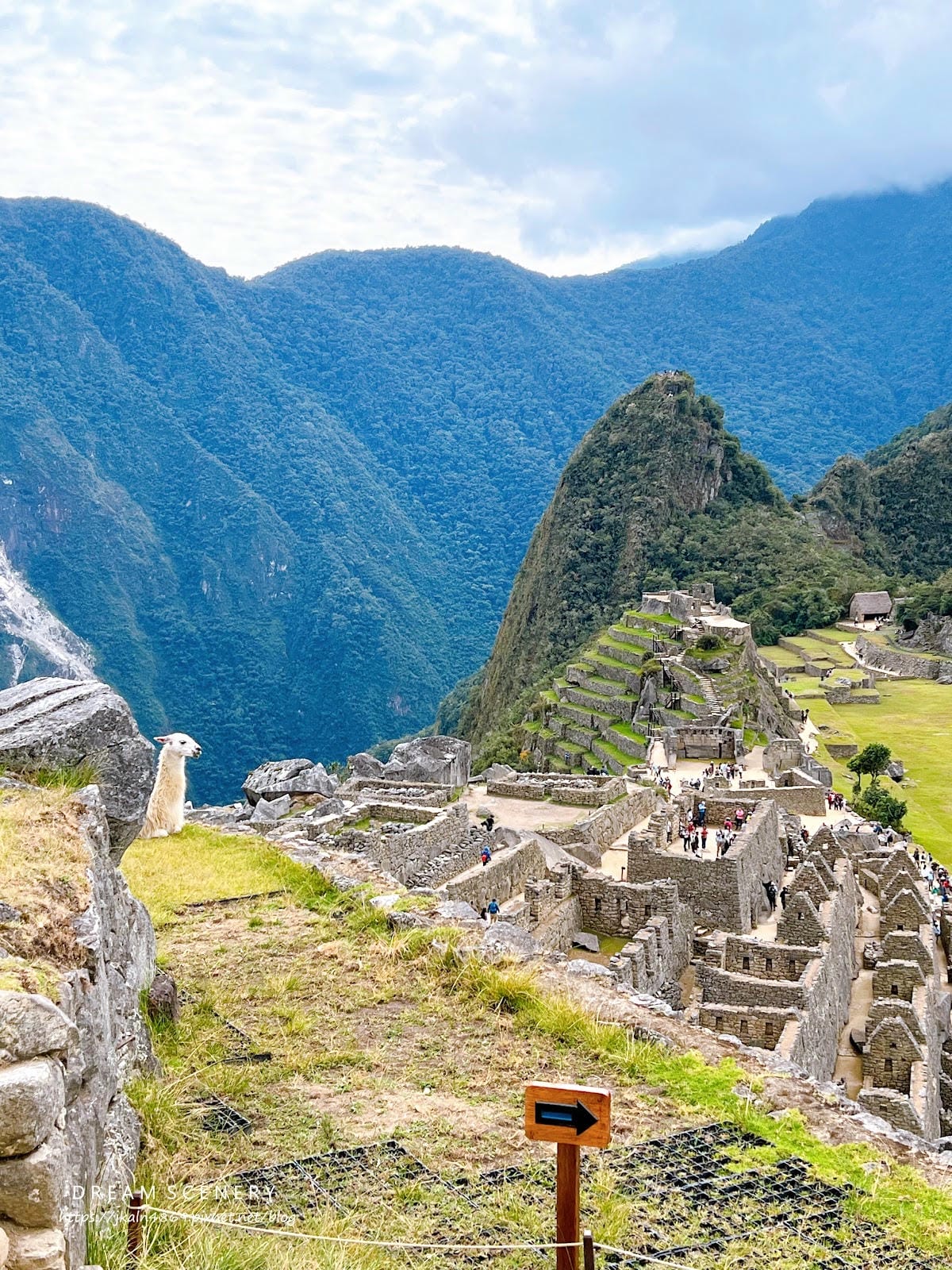 【祕魯-Machu Picchu】印加帝國的“失落之城”│馬 【祕魯-Machu Picchu】印加帝國的“失落之城”│馬
