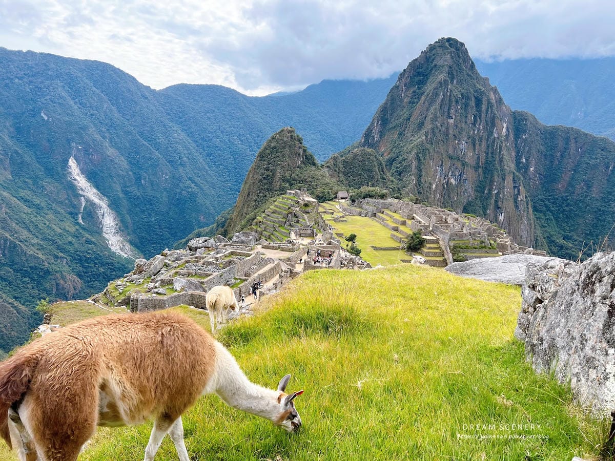 【祕魯-Machu Picchu】印加帝國的“失落之城”│馬 【祕魯-Machu Picchu】印加帝國的“失落之城”│馬