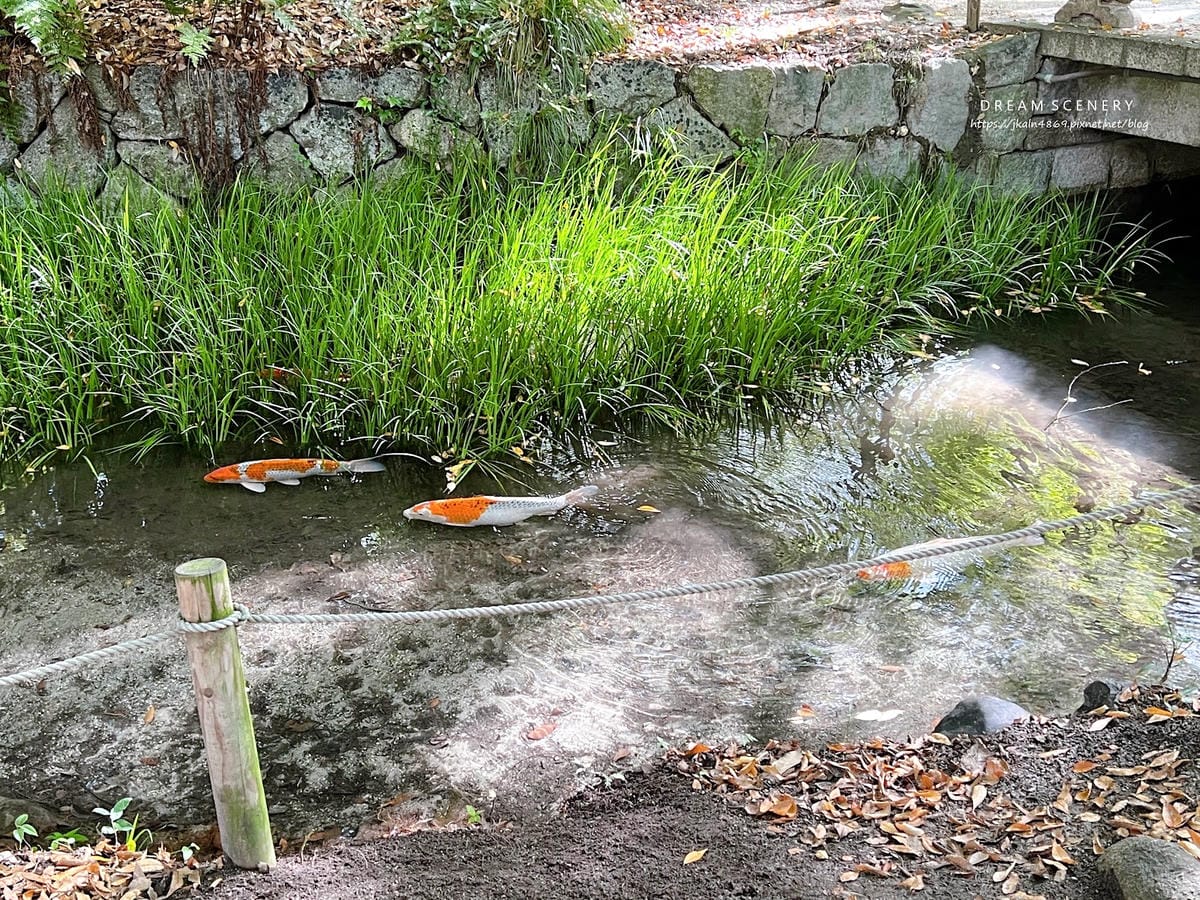 【日本-京都】京都世界遺產│精緻四季蕾絲收藏御守│賀茂御祖神 【日本-京都】京都世界遺產│精緻四季蕾絲收藏御守│賀茂御祖神