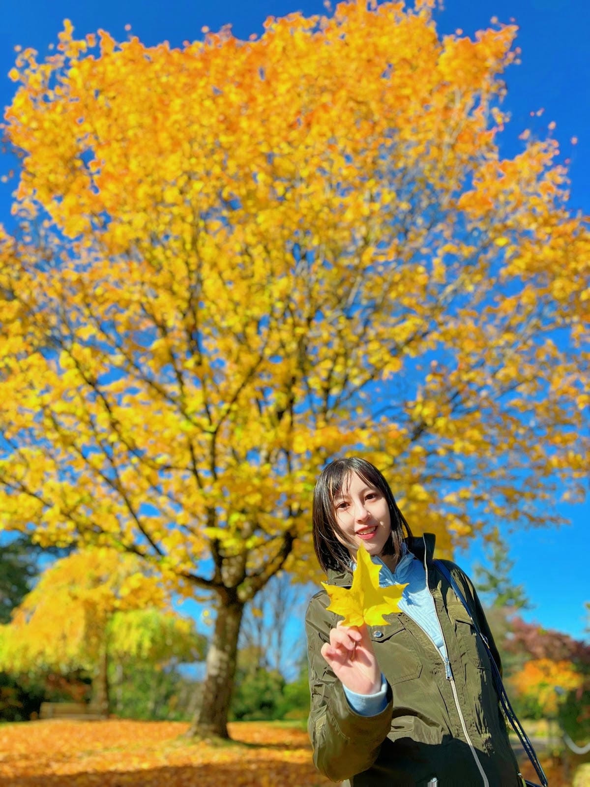 【加拿大- Vancouver】制高點美景與隱藏版藝術裝置│ 【加拿大- Vancouver】制高點美景與隱藏版藝術裝置│