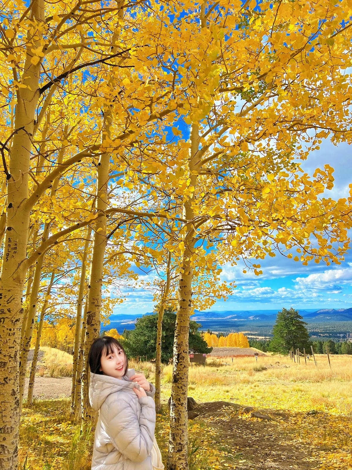 【美國-Arizona】追逐金色山林的季節│ Flagsta 【美國-Arizona】追逐金色山林的季節│ Flagsta