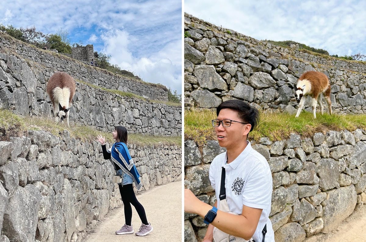 【祕魯-Machu Picchu】印加帝國的“失落之城”│馬 【祕魯-Machu Picchu】印加帝國的“失落之城”│馬