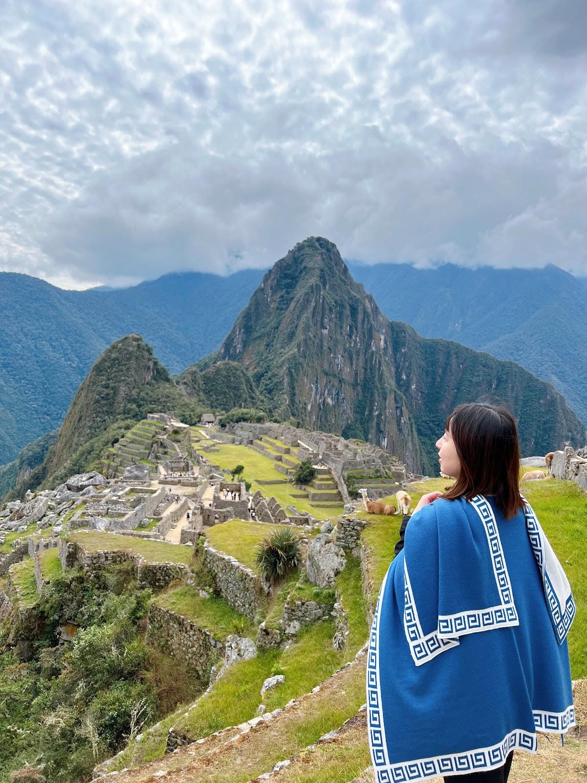 【祕魯-Machu Picchu】印加帝國的“失落之城”│馬 【祕魯-Machu Picchu】印加帝國的“失落之城”│馬