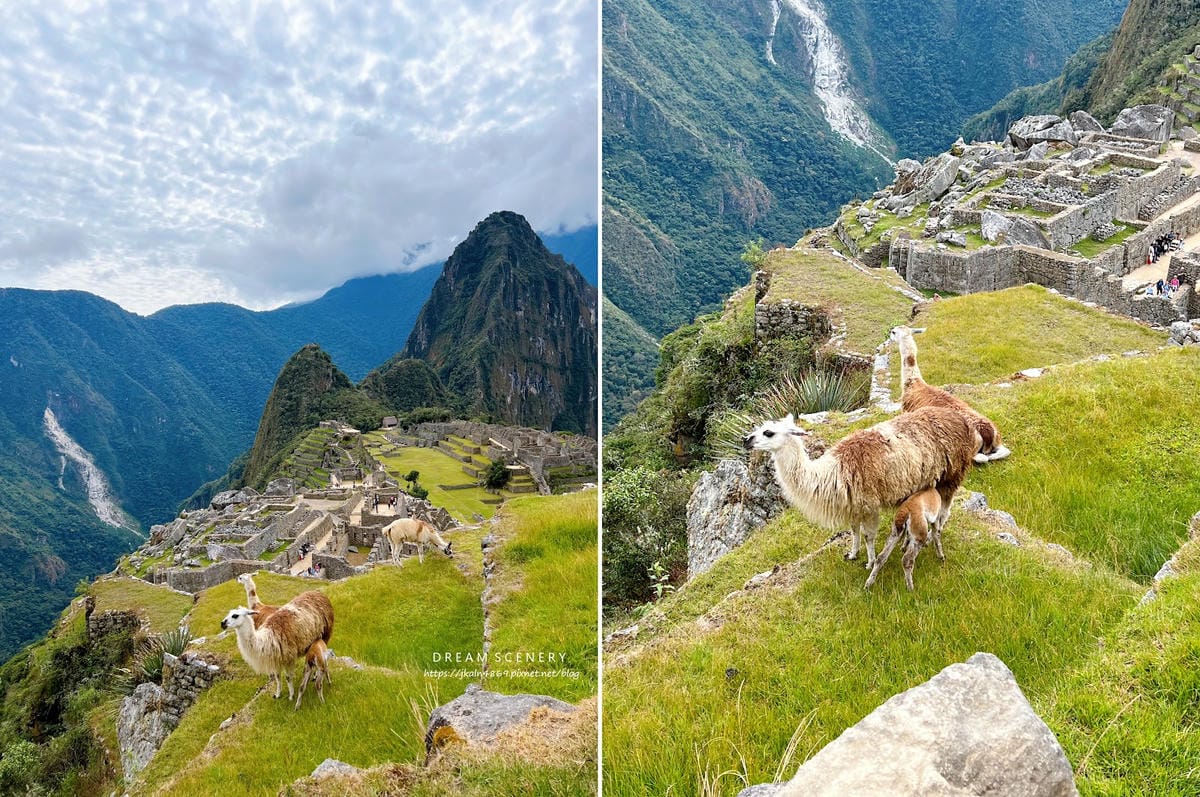 【祕魯-Machu Picchu】印加帝國的“失落之城”│馬 【祕魯-Machu Picchu】印加帝國的“失落之城”│馬
