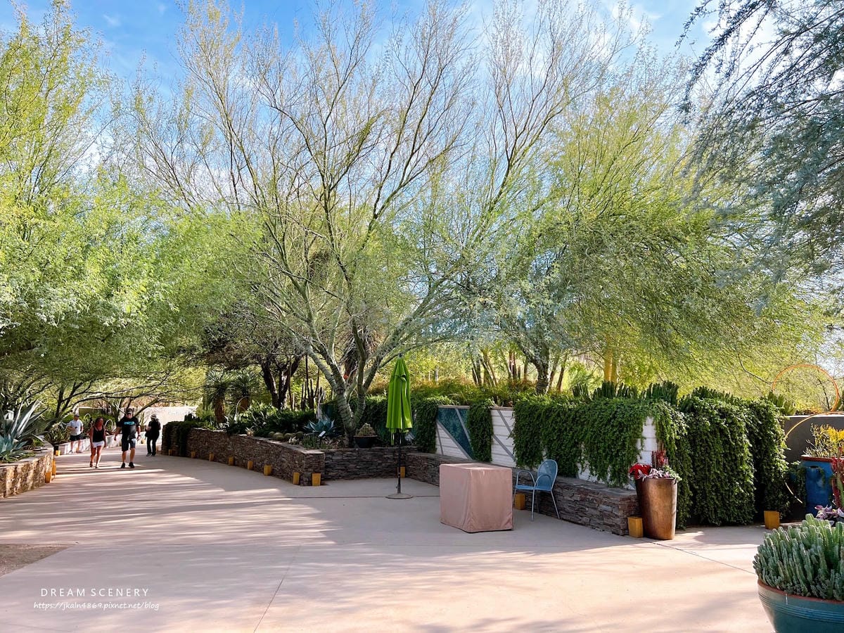 【美國-Arizona】亞利桑那州景點│沙漠植物園│Dese