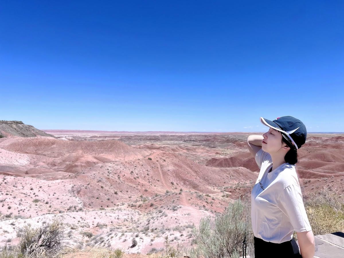 【美國-Arizona】穿越億萬年時光的旅程│石化森林國家公 【美國-Arizona】穿越億萬年時光的旅程│石化森林國家公