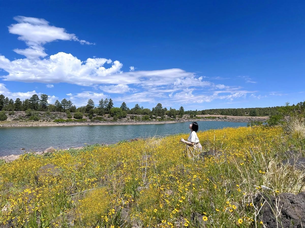 【美國-Arizona】亞利桑那的靜謐秘境│湖光漫步時光│F 【美國-Arizona】亞利桑那的靜謐秘境│湖光漫步時光│F