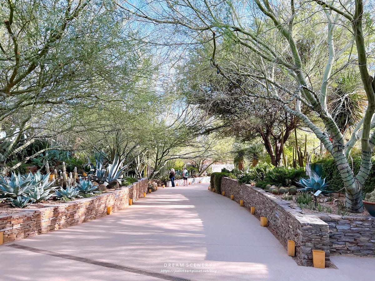【美國-Arizona】亞利桑那州景點│沙漠植物園│Dese