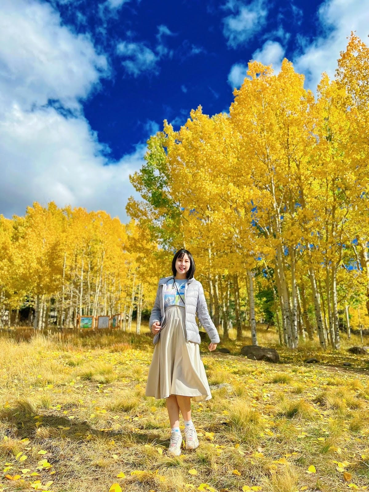 【美國-Arizona】追逐金色山林的季節│ Flagsta 【美國-Arizona】追逐金色山林的季節│ Flagsta
