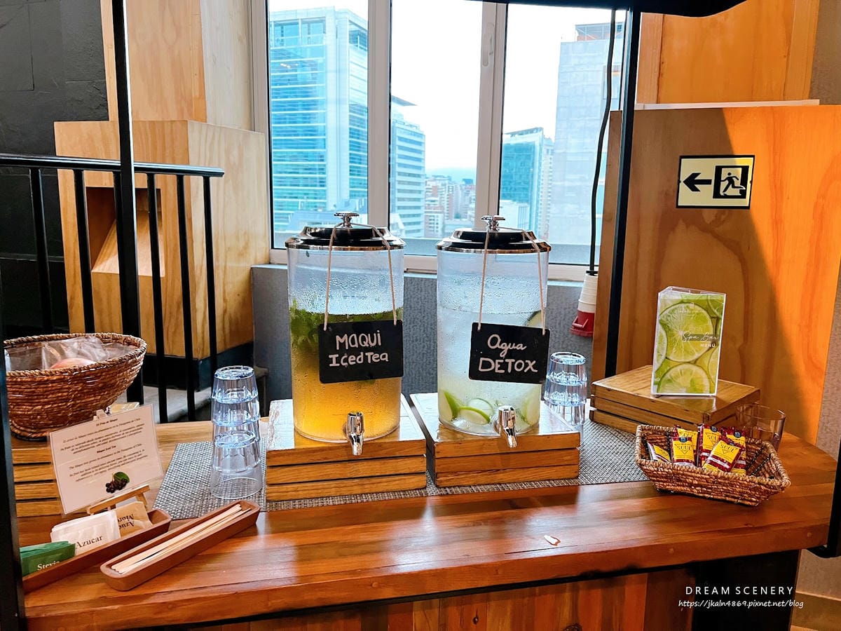 【智利-Santiago】THE RITZ-CARLTON, 【智利-Santiago】THE RITZ-CARLTON,