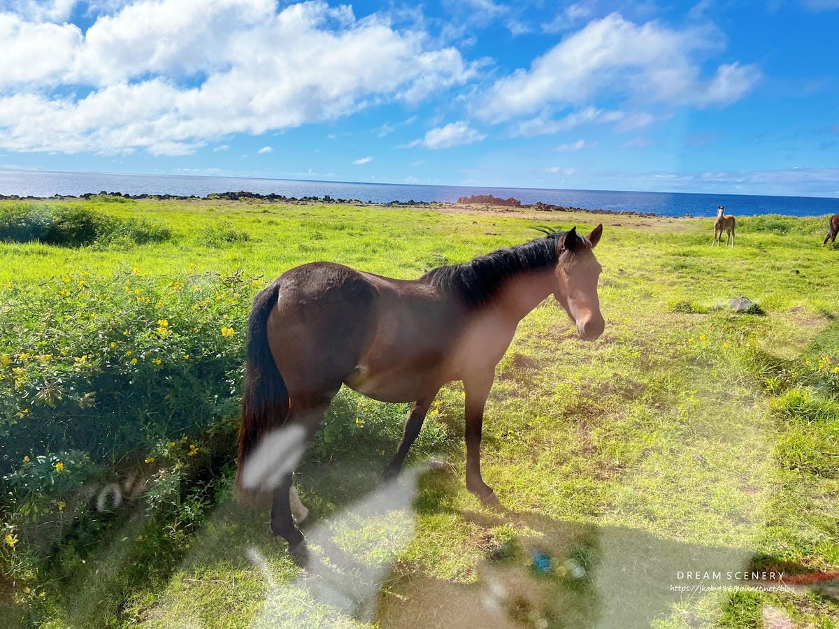 【智利-Easter Island】復活節島的祭祀平台之一 