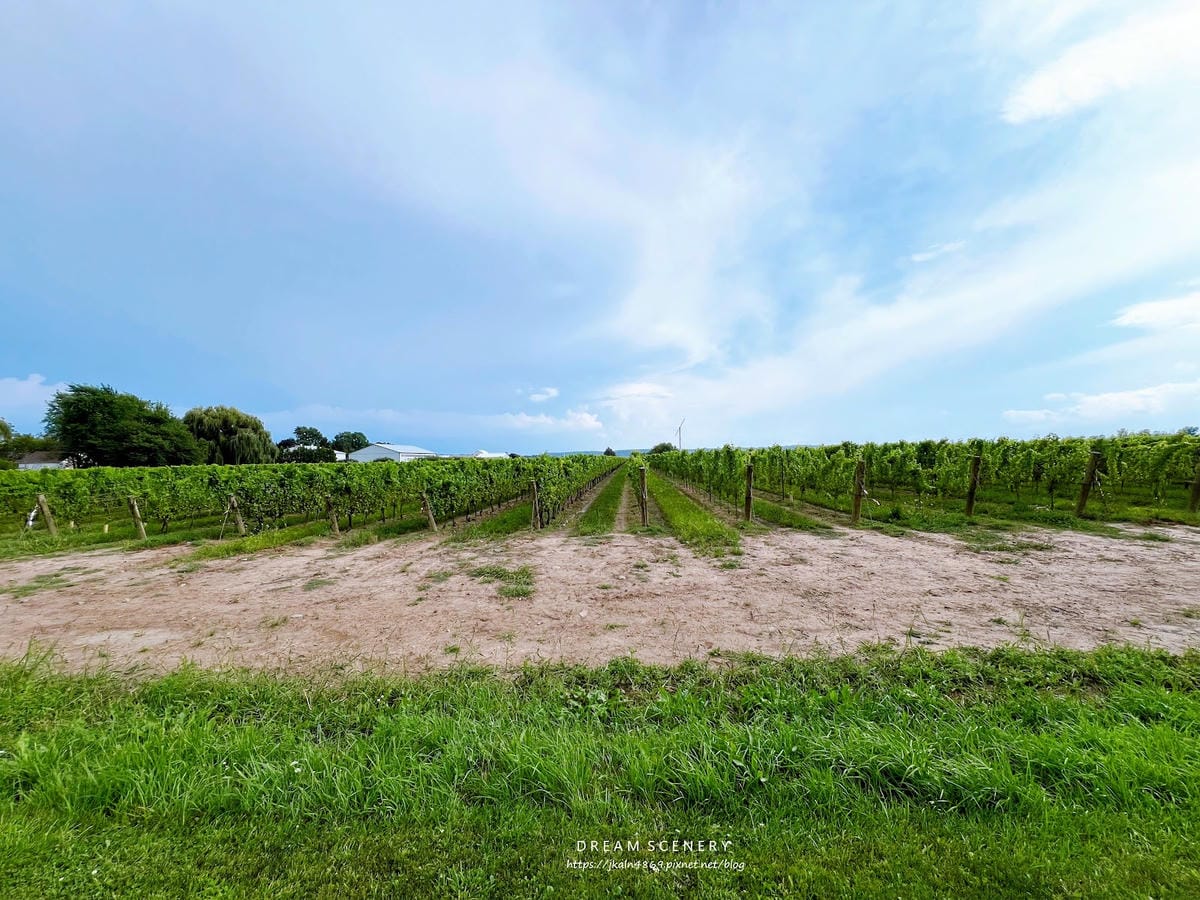 【加拿大-Ontario】加拿大最著名的冰酒│加拿大國寶級冰 【加拿大-Ontario】加拿大最著名的冰酒│加拿大國寶級冰