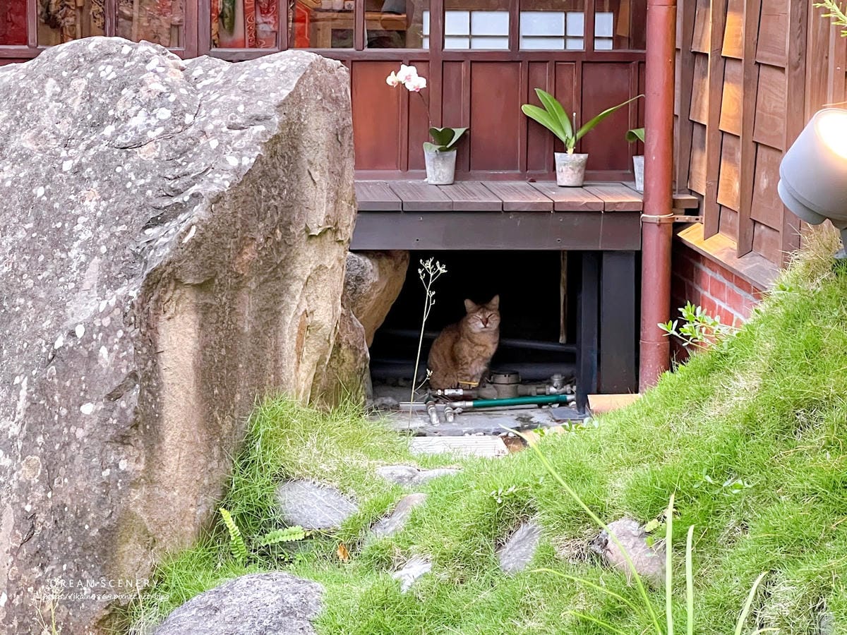 台北▴大安區│ 榕錦時光生活園區│京町山本屋 Kyomach