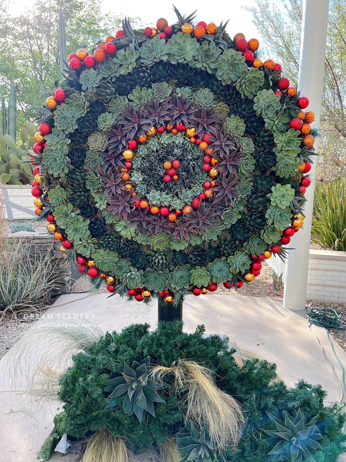 【美國-Arizona】亞利桑那州景點│沙漠植物園│Dese