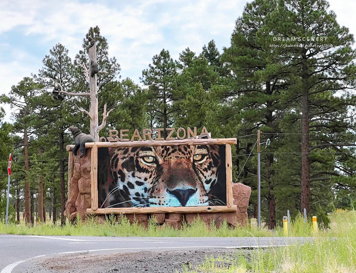 【美國-Arizona】亞利桑那州必訪野生動物園│開車進野生 【美國-Arizona】亞利桑那州必訪野生動物園│開車進野生