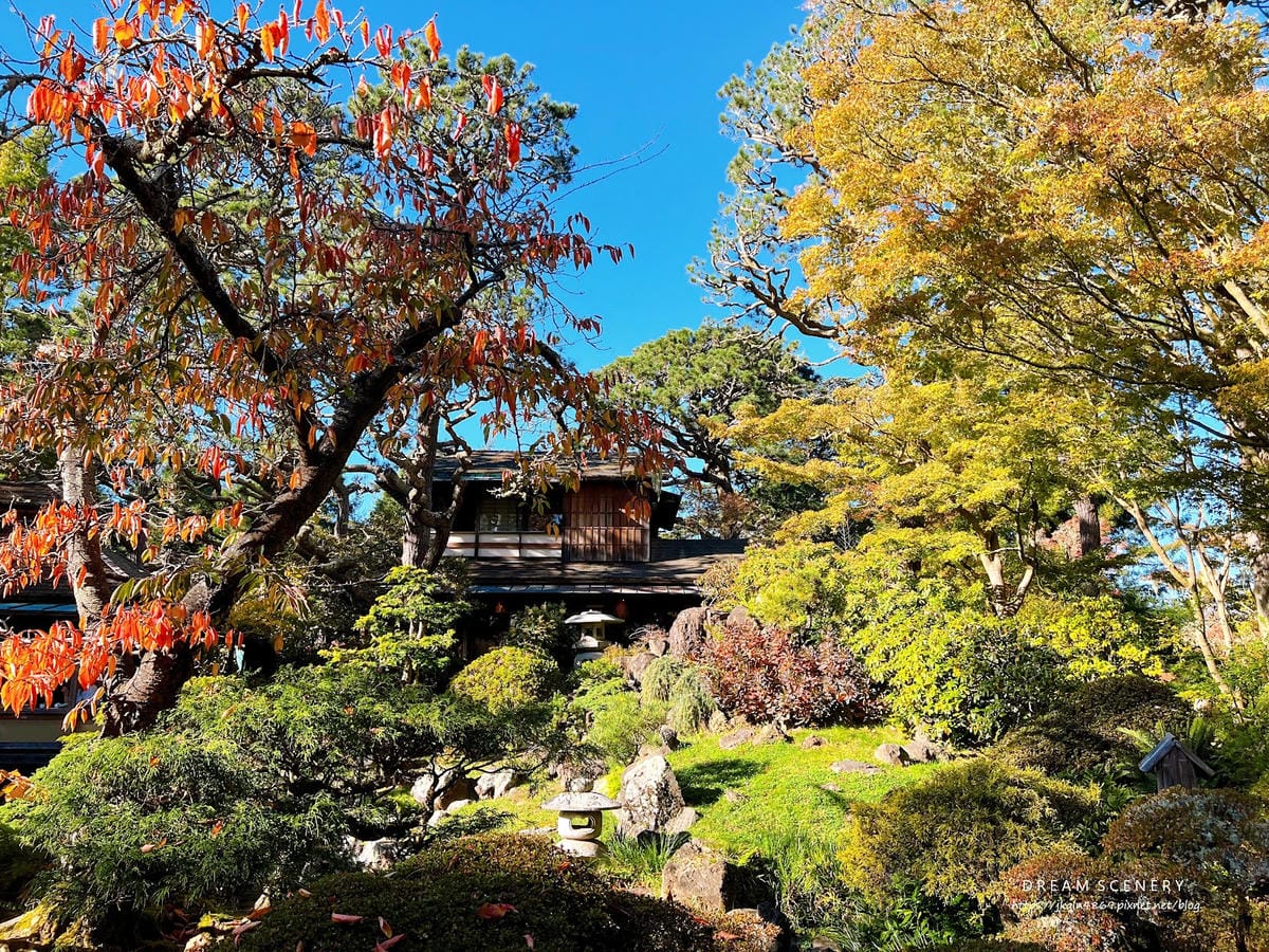 【美國-San Francisco】金門公園中的東方秘境│舊 【美國-San Francisco】金門公園中的東方秘境│舊