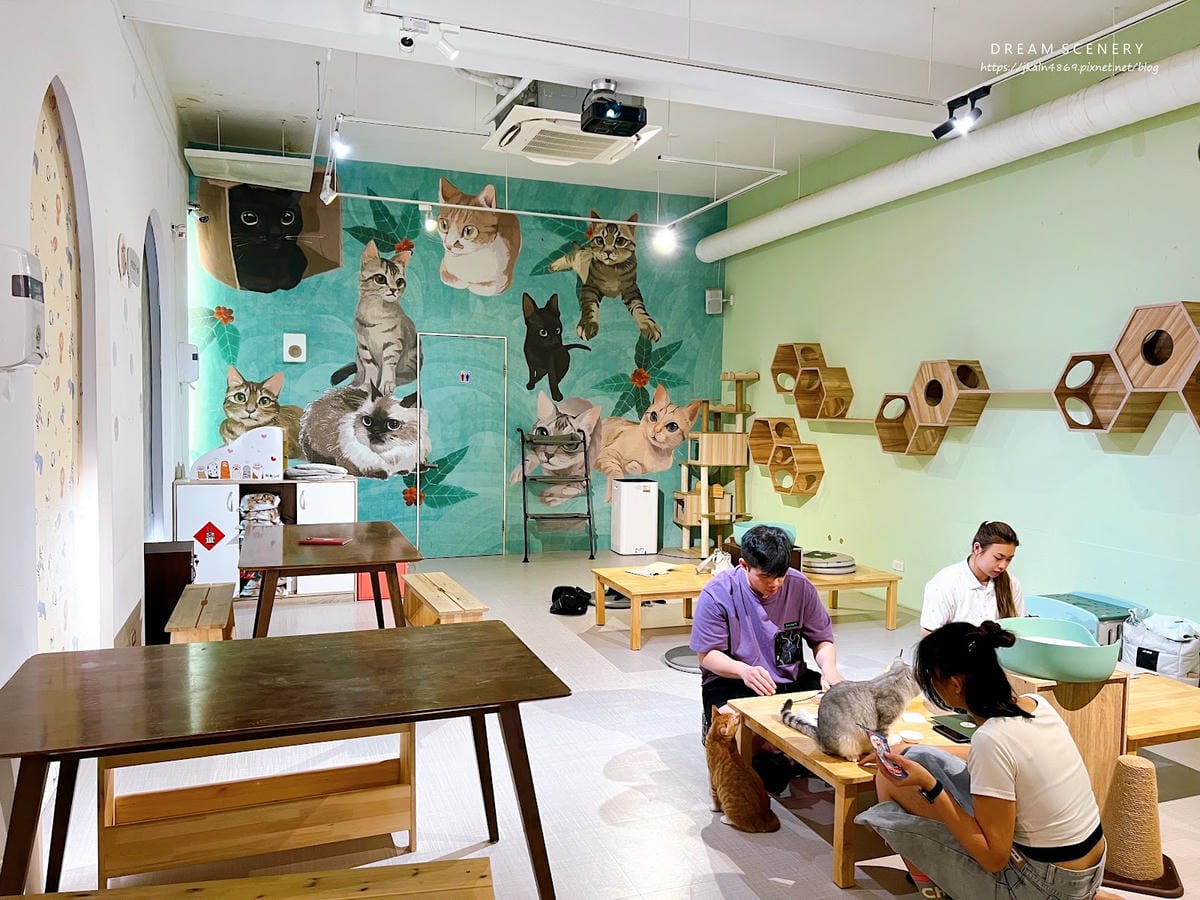 新北▴三重區│貓咪咖啡廳│O CAT CAFÈ 三重貓咪中途 新北▴三重區│貓咪咖啡廳│O CAT CAFÈ 三重貓咪中途