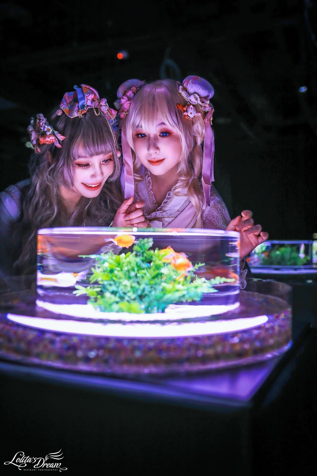 ART AQUARIUM TAIPEI 金魚藝術展