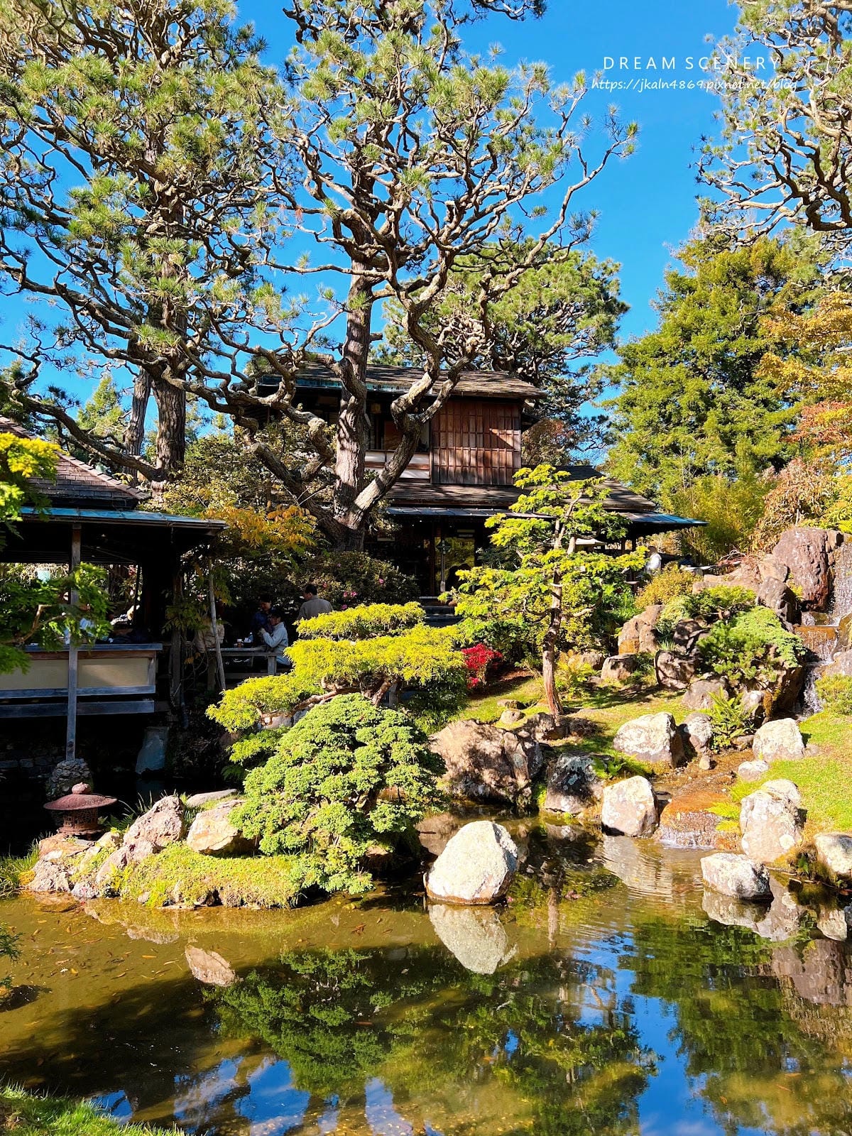 【美國-San Francisco】金門公園中的東方秘境│舊 【美國-San Francisco】金門公園中的東方秘境│舊