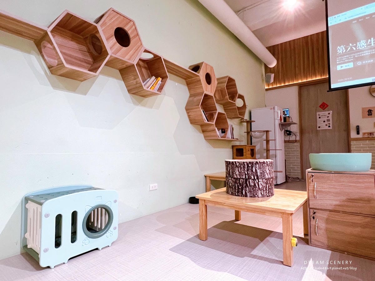 新北▴三重區│貓咪咖啡廳│O CAT CAFÈ 三重貓咪中途 新北▴三重區│貓咪咖啡廳│O CAT CAFÈ 三重貓咪中途