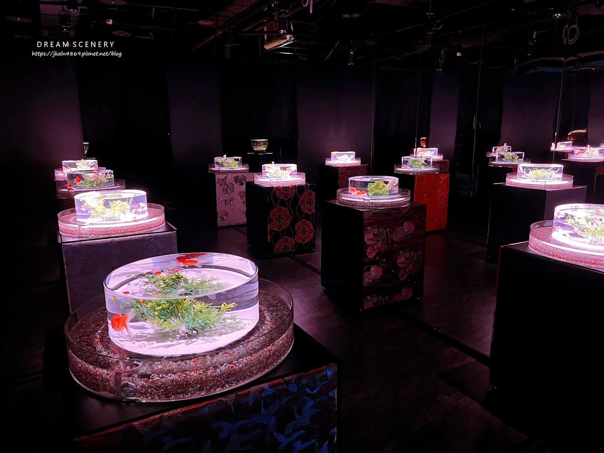ART AQUARIUM TAIPEI 金魚藝術展