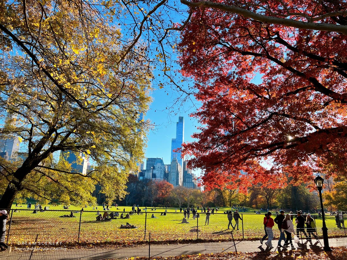 中央公園 Central Park 中央公園 Central Park