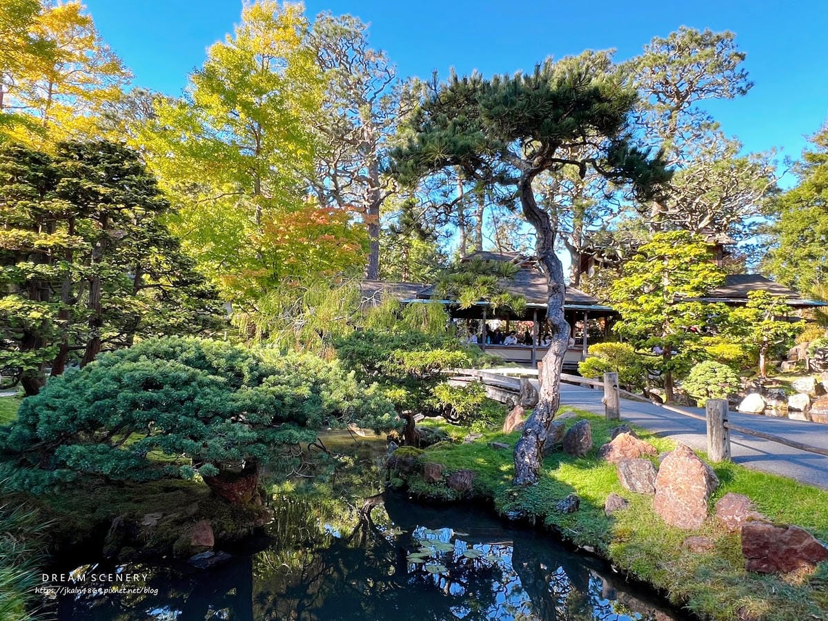 【美國-San Francisco】金門公園中的東方秘境│舊 【美國-San Francisco】金門公園中的東方秘境│舊