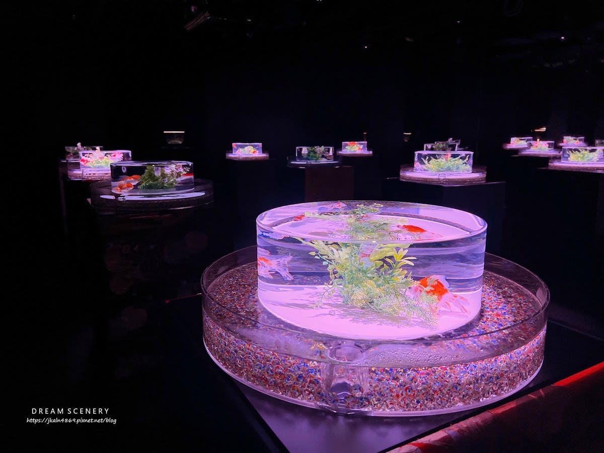 ART AQUARIUM TAIPEI 金魚藝術展