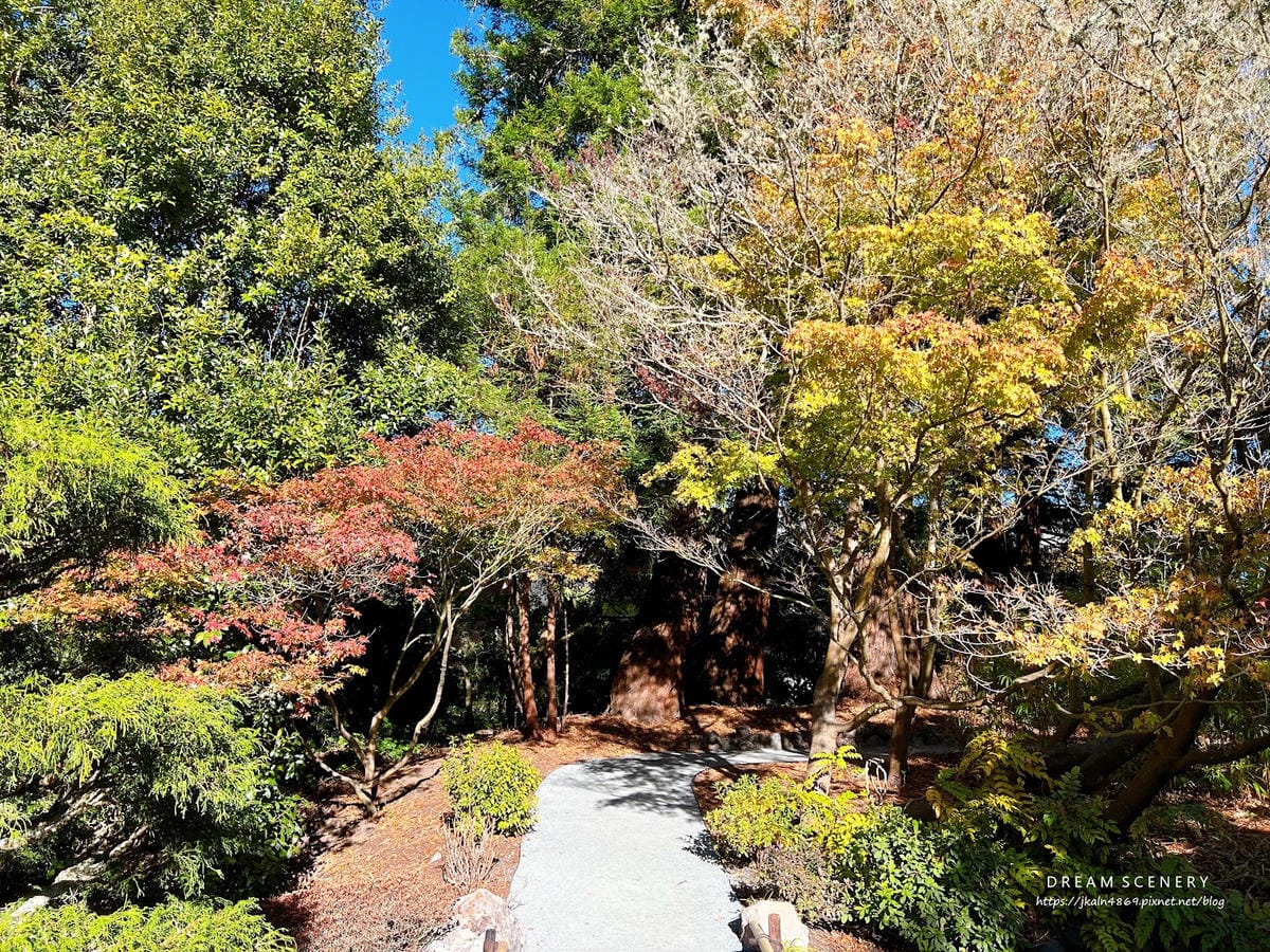 【美國-San Francisco】金門公園中的東方秘境│舊 【美國-San Francisco】金門公園中的東方秘境│舊