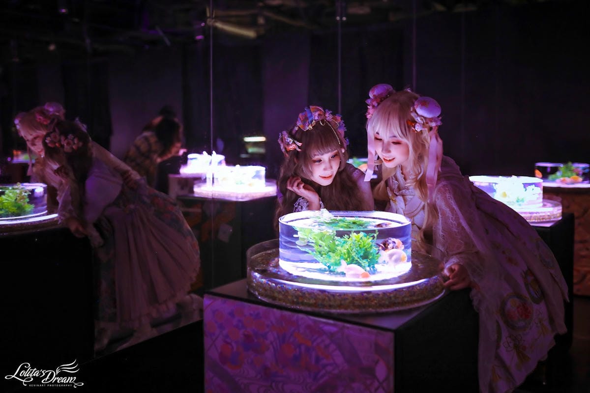 ART AQUARIUM TAIPEI 金魚藝術展