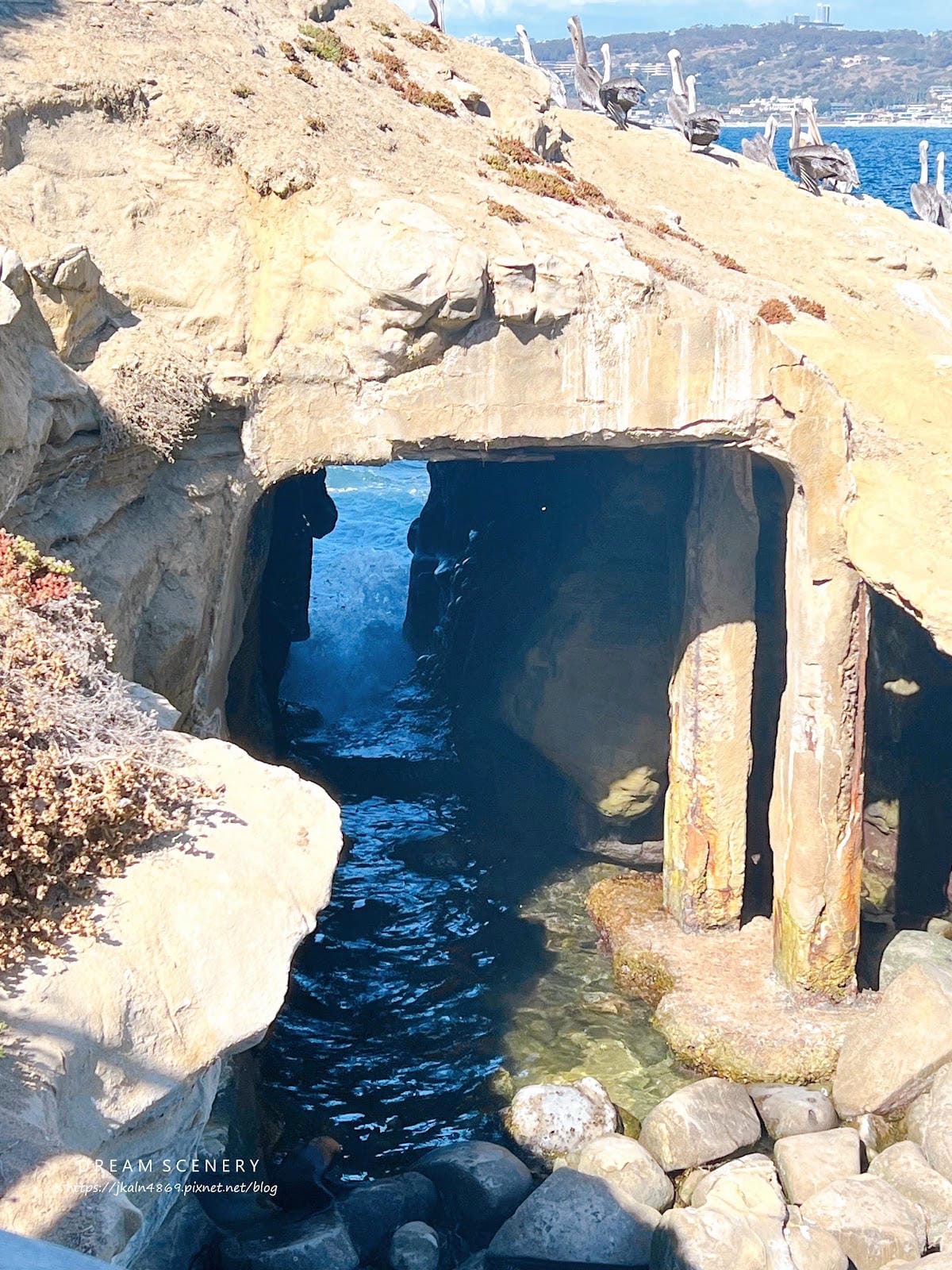 【美國-San Diego】加州海岸秘境的海景與海洋生態探索 【美國-San Diego】加州海岸秘境的海景與海洋生態探索
