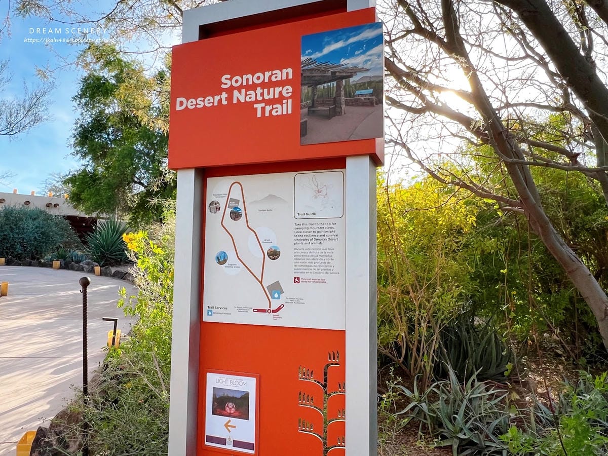 【美國-Arizona】亞利桑那州景點│沙漠植物園│Dese