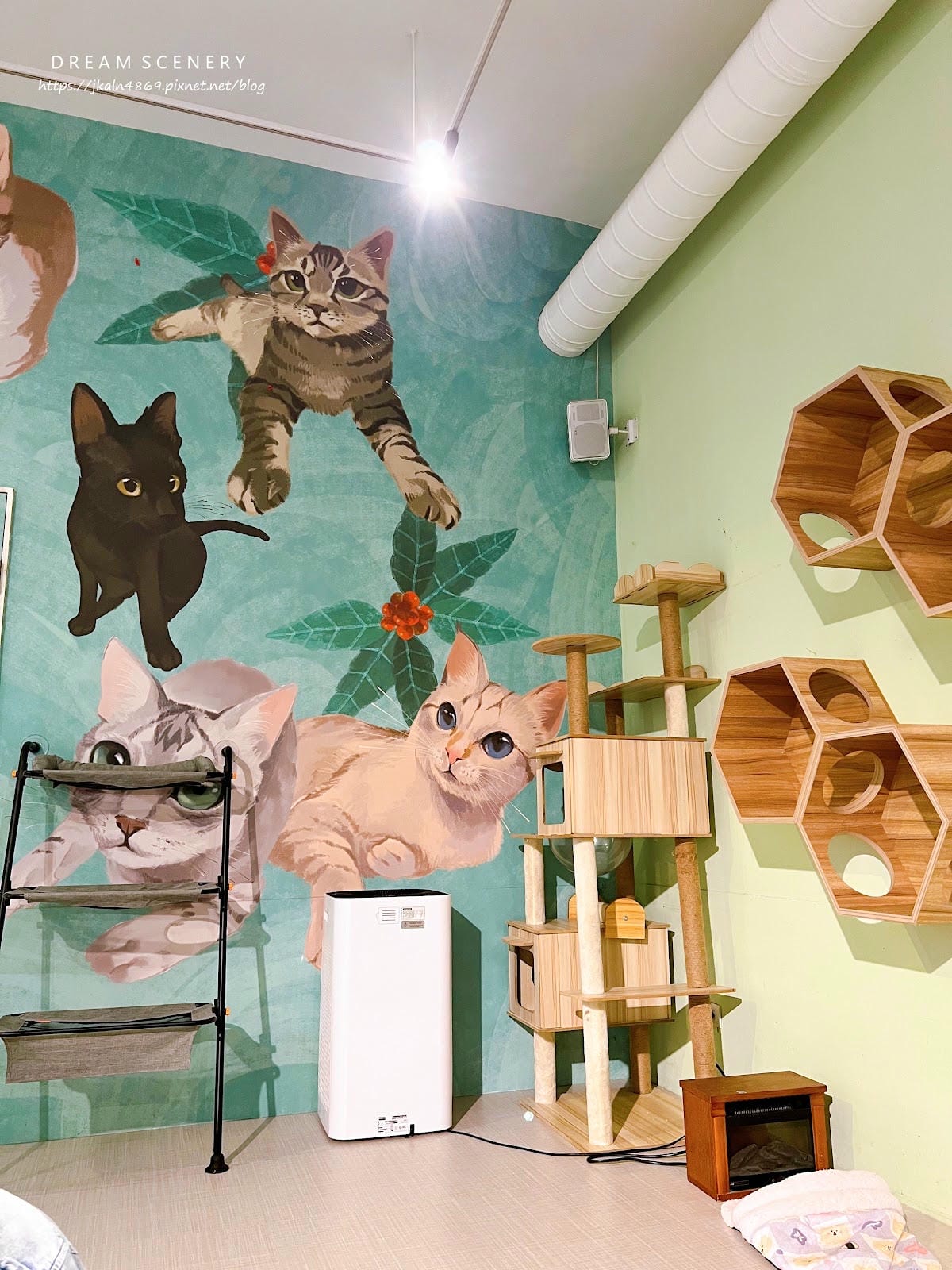新北▴三重區│貓咪咖啡廳│O CAT CAFÈ 三重貓咪中途 新北▴三重區│貓咪咖啡廳│O CAT CAFÈ 三重貓咪中途