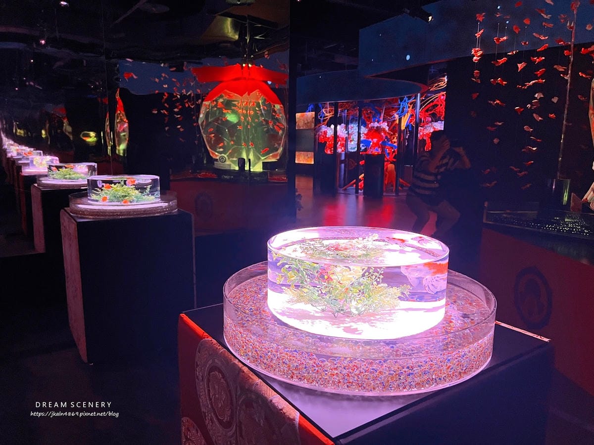 ART AQUARIUM TAIPEI 金魚藝術展