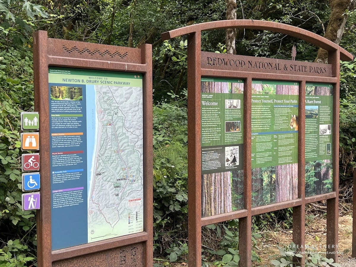 【美國-California】紅木國家公園半日遊│免費走進巨 【美國-California】紅木國家公園半日遊│免費走進巨