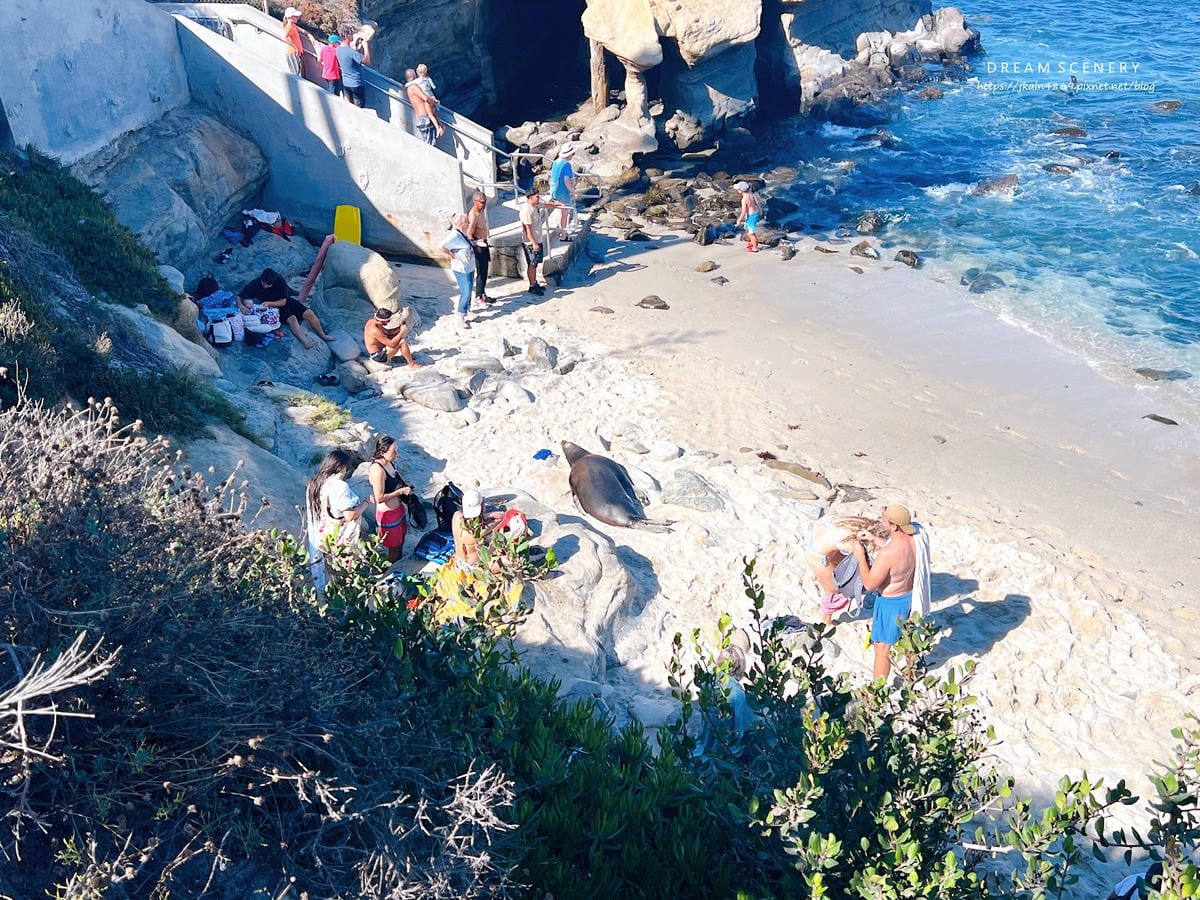 【美國-San Diego】加州海岸秘境的海景與海洋生態探索 【美國-San Diego】加州海岸秘境的海景與海洋生態探索