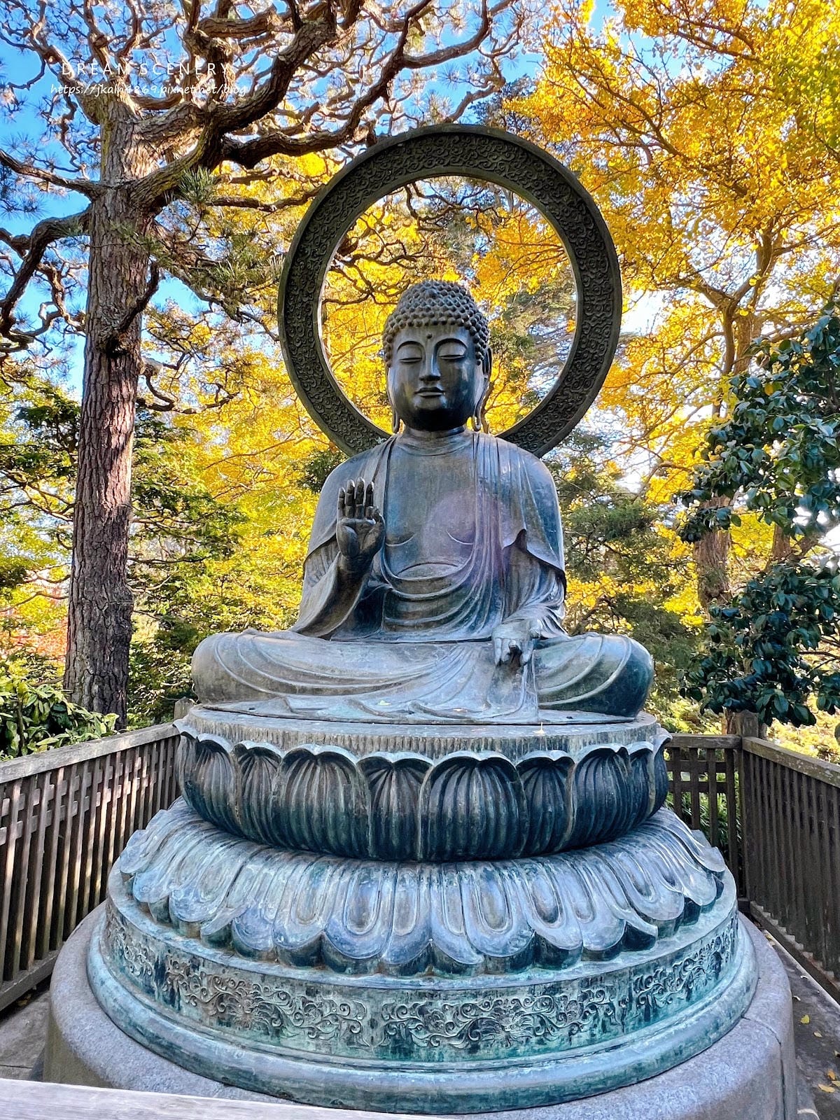 【美國-San Francisco】金門公園中的東方秘境│舊 【美國-San Francisco】金門公園中的東方秘境│舊