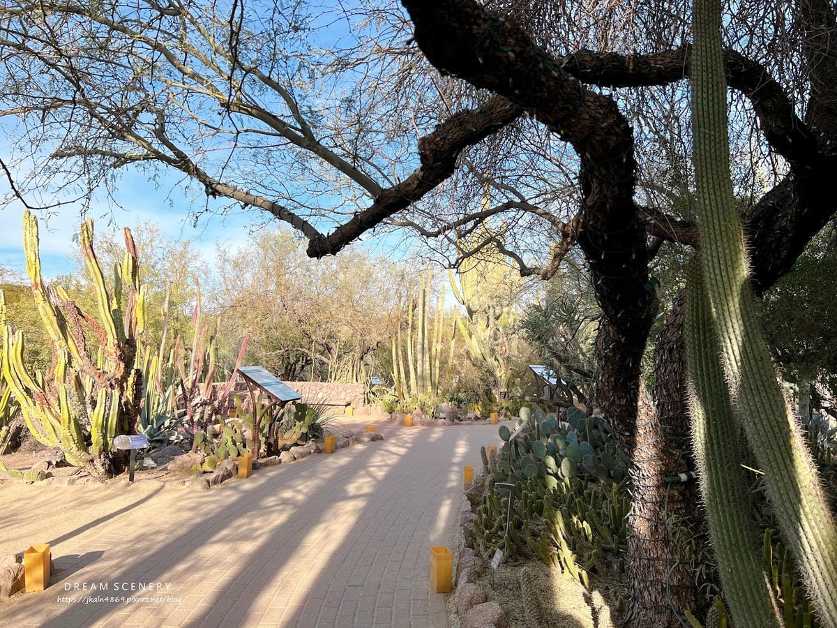【美國-Arizona】亞利桑那州景點│沙漠植物園│Dese