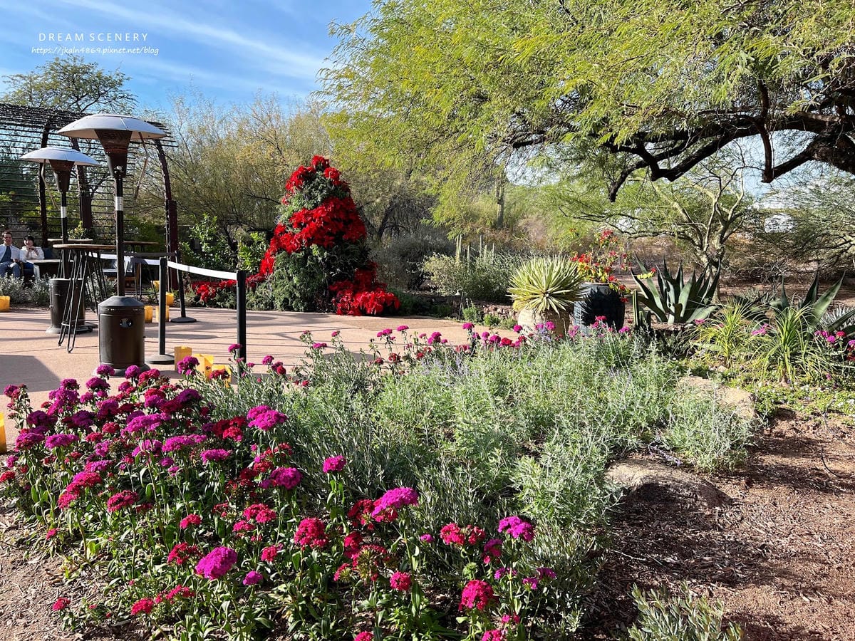 【美國-Arizona】亞利桑那州景點│沙漠植物園│Dese