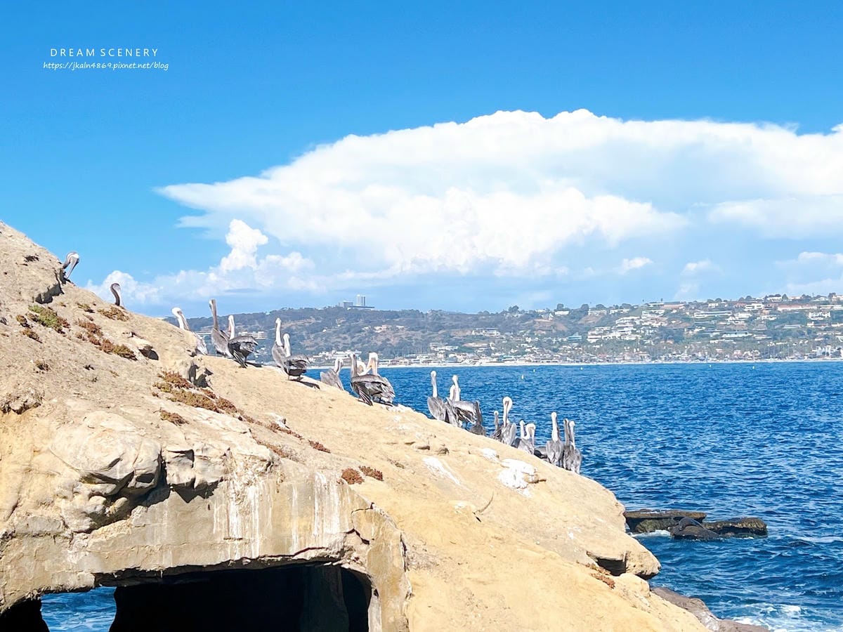 【美國-San Diego】加州海岸秘境的海景與海洋生態探索 【美國-San Diego】加州海岸秘境的海景與海洋生態探索