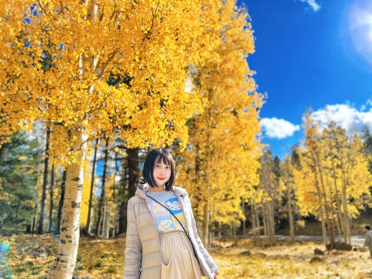 【美國-Arizona】追逐金色山林的季節│ Flagsta 【美國-Arizona】追逐金色山林的季節│ Flagsta