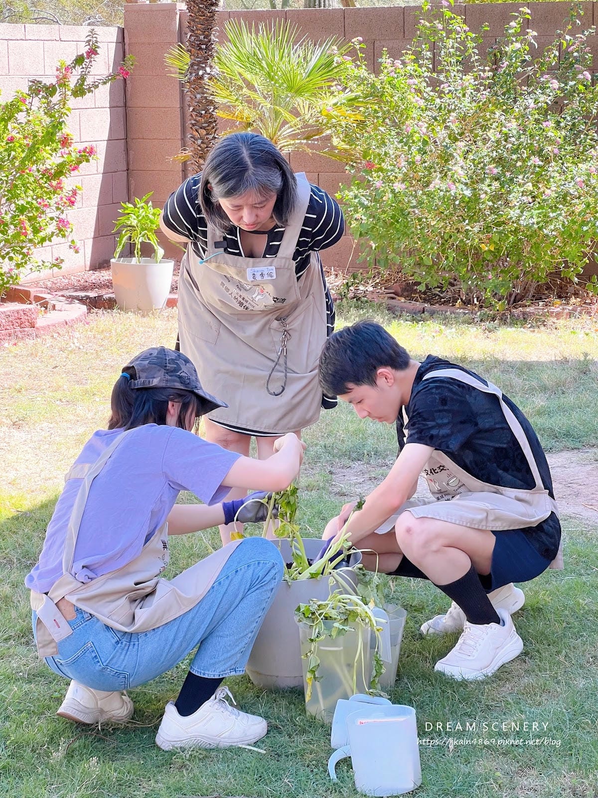 【美國-Arizona】美國生活體驗│ 北鳳凰城台美文化交流 【美國-Arizona】美國生活體驗│ 北鳳凰城台美文化交流