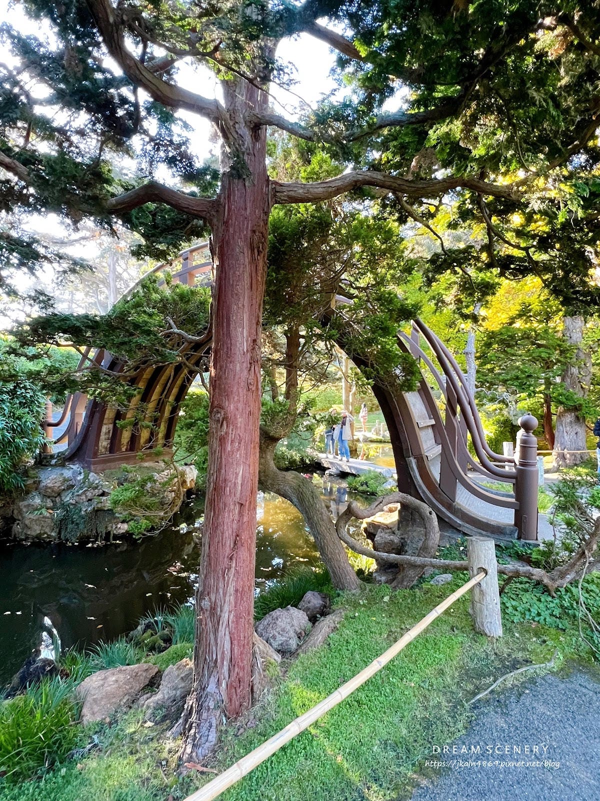 【美國-San Francisco】金門公園中的東方秘境│舊 【美國-San Francisco】金門公園中的東方秘境│舊