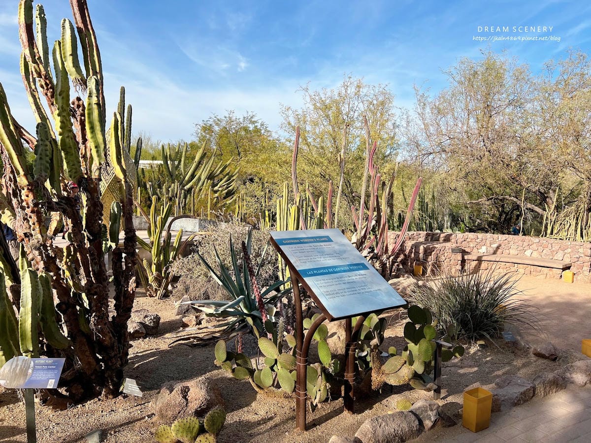 【美國-Arizona】亞利桑那州景點│沙漠植物園│Dese