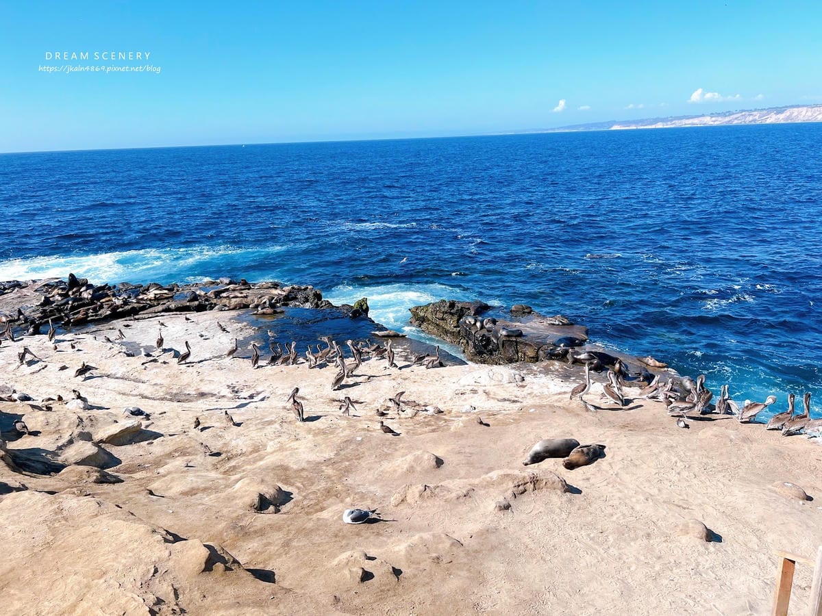 【美國-San Diego】加州海岸秘境的海景與海洋生態探索 【美國-San Diego】加州海岸秘境的海景與海洋生態探索
