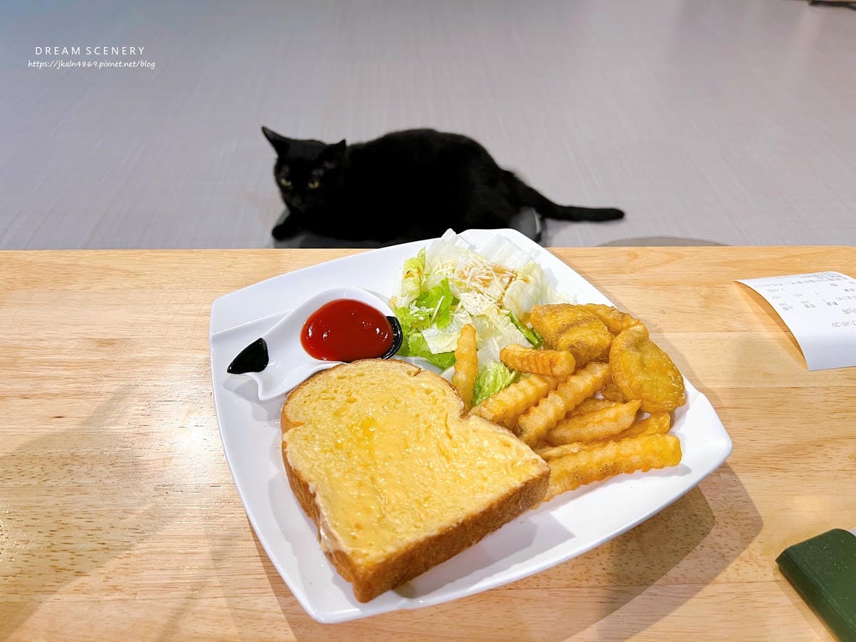 新北▴三重區│貓咪咖啡廳│O CAT CAFÈ 三重貓咪中途 新北▴三重區│貓咪咖啡廳│O CAT CAFÈ 三重貓咪中途